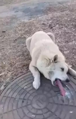 3d8125d2aed447e684e328c7235f882d.jpeg 3d8125d2aed447e684e328c7235f882d.jpeg